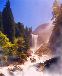 Earth & Abundance eBook