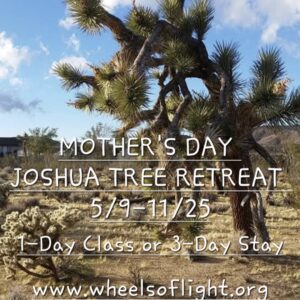 Mother's Day Women's Wellness Retreat 5/10/25